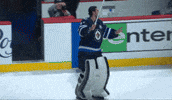 Happy Three Stars GIF by Winnipeg Jets