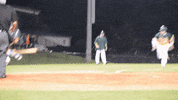 forest city owls baseball GIF