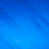 Tenis Mtc GIF by Minas Tênis Clube