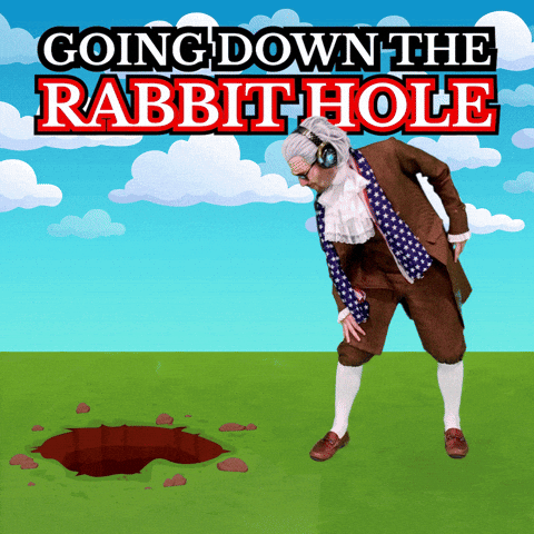 Investigating Rabbit Hole GIF