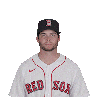 Red Sox Baseball Sticker by Boston Red Sox