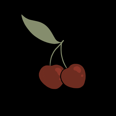 anjaslibar giphyupload fruit cherry fruity GIF
