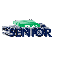 Senior Sticker by Grupo Apane