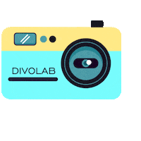Photo Photobooth Sticker by DIVOLAB