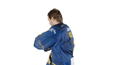 ekzellereisbaeren giphyupload 2 eishockey alpshockeyleague Sticker