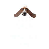 Keep Calm Basset Hound Sticker