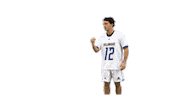 Mens Lacrosse Fun Sticker by Delaware Blue Hens