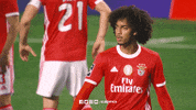 Sl Benfica Wink GIF by Sport Lisboa e Benfica