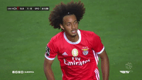 Sorry Sl Benfica GIF by Sport Lisboa e Benfica