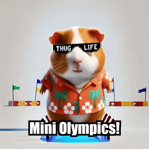 Guinea Pig Olympics GIF by Guinea Gambino
