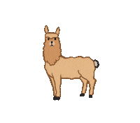 Dance Llama Sticker