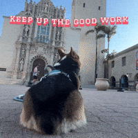Keep Up The Good Work Corgi GIF