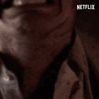 Damon Salvatore Netflix GIF by Fanged Up