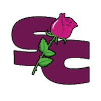 Rose Sticker by Sky Camp