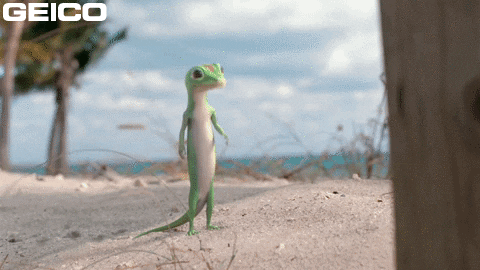 Clothing Shrug GIF by GEICO