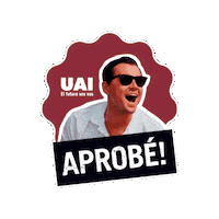 Finales Aprobe Sticker by UAI