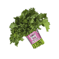 broccoli rabe vegetables Sticker