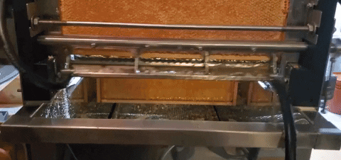 quinnanne giphyupload uncap honeyextraction GIF