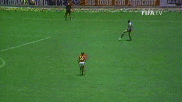 Save World Cup GIF by FIFA