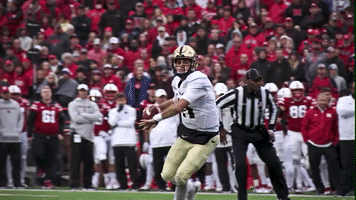 boilerup GIF by Purdue Sports