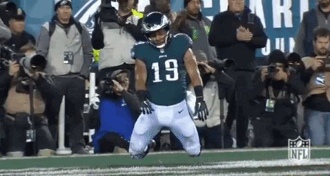 2018 Nfl Football GIF by NFL