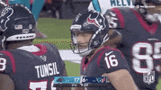 Houston Texans Football GIF by NFL