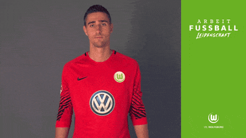 koen casteels head GIF by VfL Wolfsburg