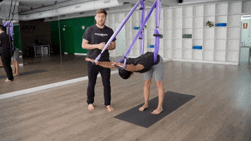 Training Yoga Trapeze GIF by YOGABODY