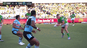 Try Nrl GIF by Canberra Raiders