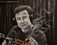Elon Musk Marijuana GIF