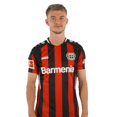 I Love You Smile Sticker by Bayer 04 Leverkusen