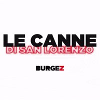 Burgez burgez instaburgez GIF