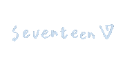 세븐틴 Carat Sticker