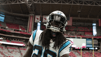 Nfl GIF by Carolina Panthers