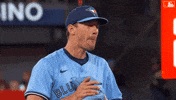 Happy Blue Jays GIF by Toronto Blue Jays