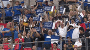World Rugby Sport GIF by Rugby World Cup
