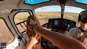 Trucker Trapped in Kenyan River Rescued by Wildlife Conservation Helicopter Crew