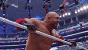 wrestlemania 32 wrestling GIF by WWE