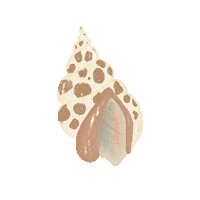 Beach Ocean Sticker