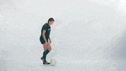 Huntington University GIF by FDN Sports
