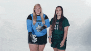 Huntington University GIF by FDN Sports