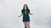 Huntington University GIF by FDN Sports