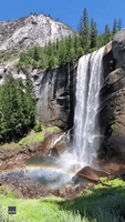 'Finally Made it to Yosemite': Family Enjoys Mesmerising Waterfall After Being Stuck at Home for Months