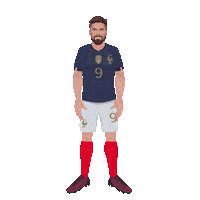 France Football Sticker by Panini America
