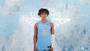 Look Up North Carolina GIF by UNC Tar Heels