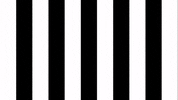 Football Soccer GIF by SK Sturm Graz
