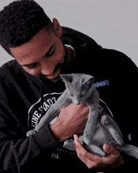 Gregory Wüthrich Cat GIF by SK Sturm Graz