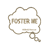 HDBnQ cat puppy kitten puppies Sticker