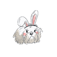 michellediazperezz conejo pascua shihtzu perra Sticker