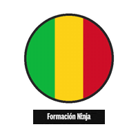 Flag Bandera Sticker by Formación Ninja